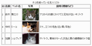 ネコを飼っている友人リスト